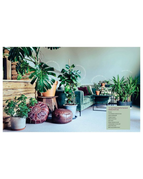 С любовью к растениям. Как обустроить зеленый оазис у себя дома