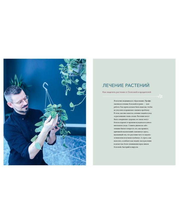 С любовью к растениям. Как обустроить зеленый оазис у себя дома