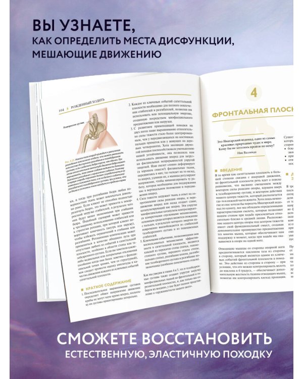 Рожденный ходить. Миофасциальная эффективность: революция в понимании механики движения