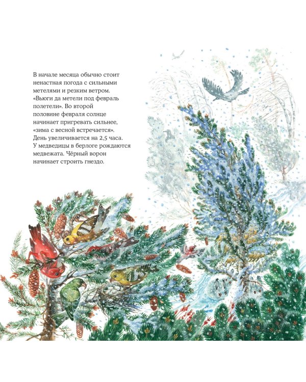 Календарь родной природы настенный на 2025 год (290х290 мм) (ил. М. Белоусовой)