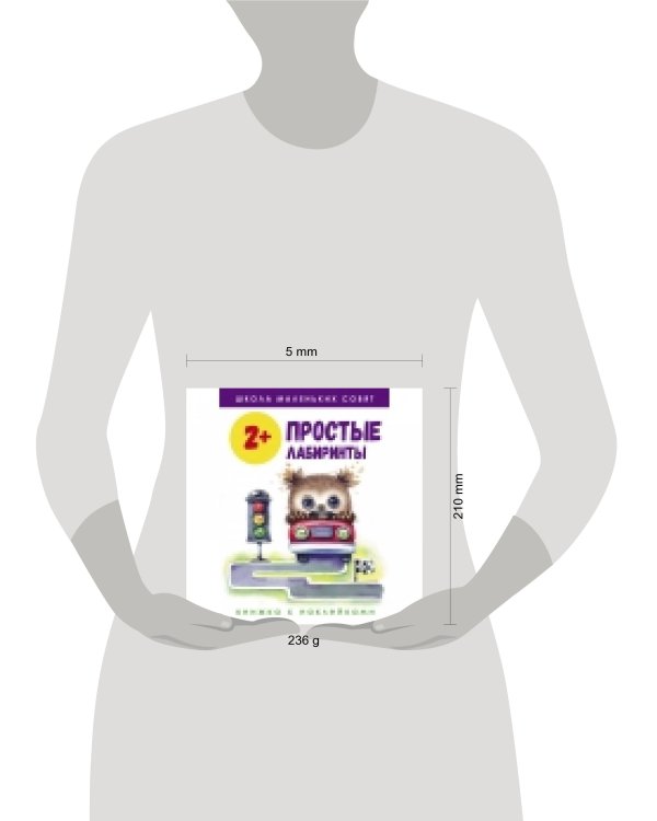 Школа маленьких совят 2+. Простые лабиринты