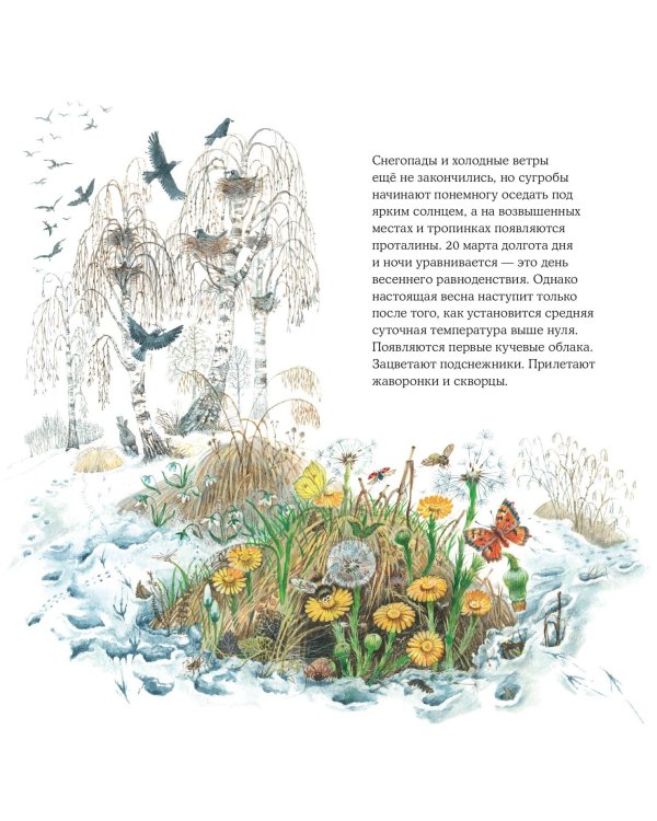 Календарь родной природы настенный на 2025 год (290х290 мм) (ил. М. Белоусовой)