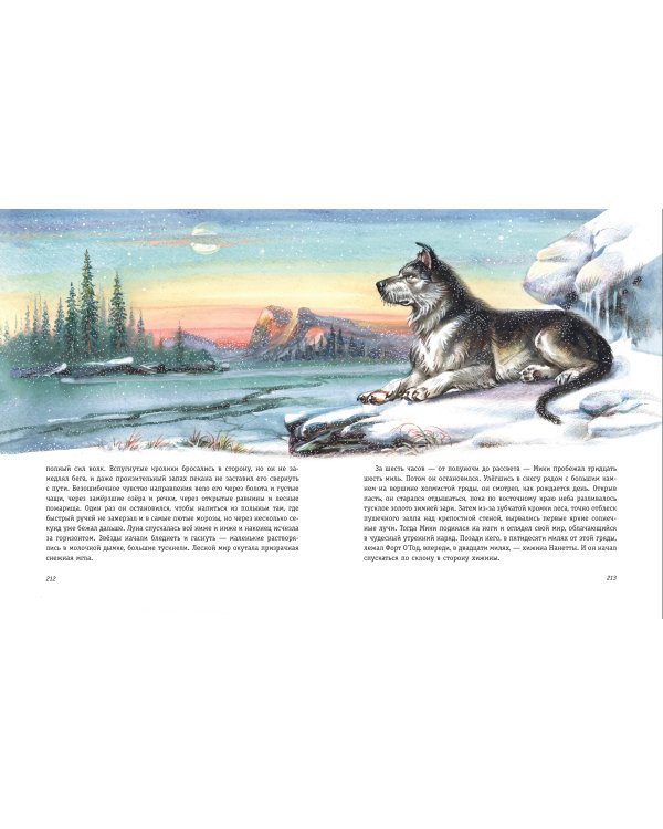 Бродяги Севера (ил. В. Канивца)