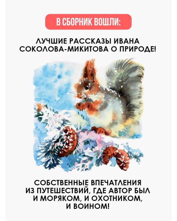 Русский лес