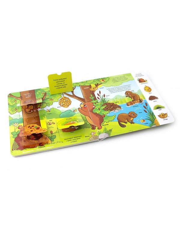 Лес (книжка с окошками)