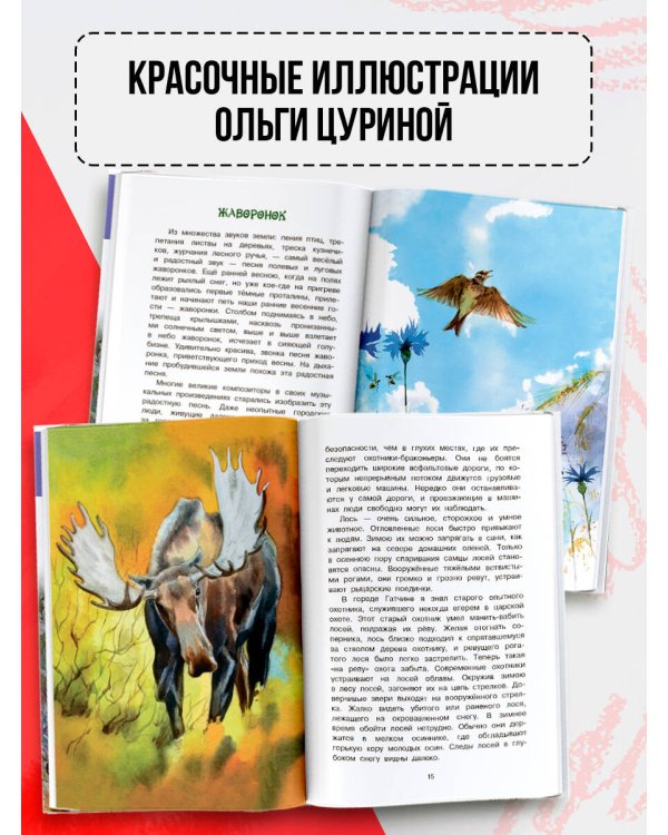 Русский лес