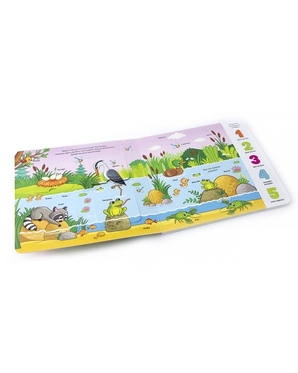 Лес (книжка с окошками)