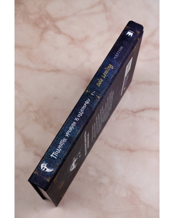 Поднятие уровня в одиночку. Solo Leveling. Книга 7