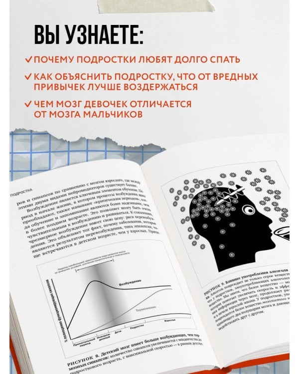 Мозг подростка. Спасительные рекомендации нейробиолога для родителей тинейджеров (обновленное издание)