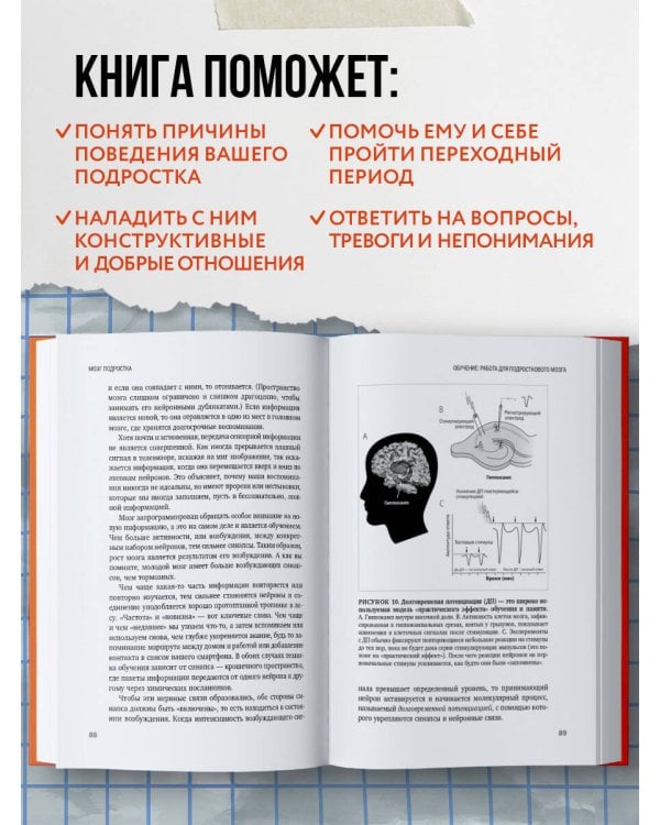 Мозг подростка. Спасительные рекомендации нейробиолога для родителей тинейджеров (обновленное издание)
