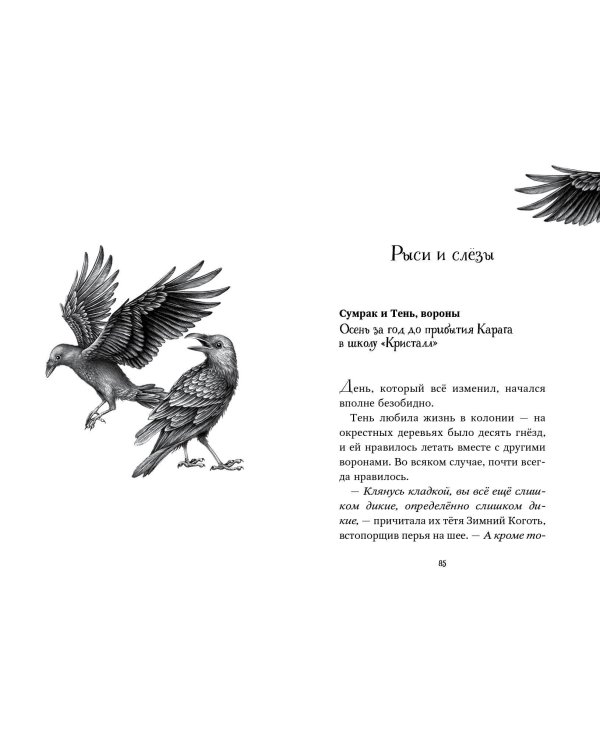 Двенадцать секретов (#8)