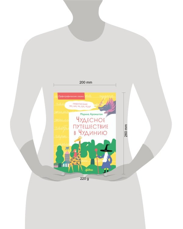 Чудесное путешествие в Чудинию. Правописание ЖИ, ШИ, ЧА, ЩА, ЧУ, ЩУ