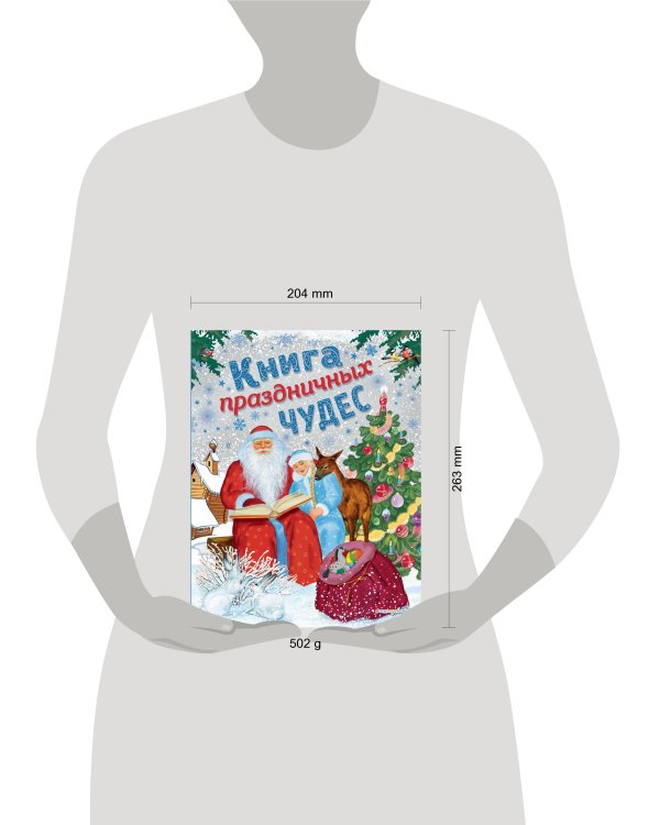 Книга праздничных чудес (ил. А. Басюбиной, Ек. и Ел. Здорновых)