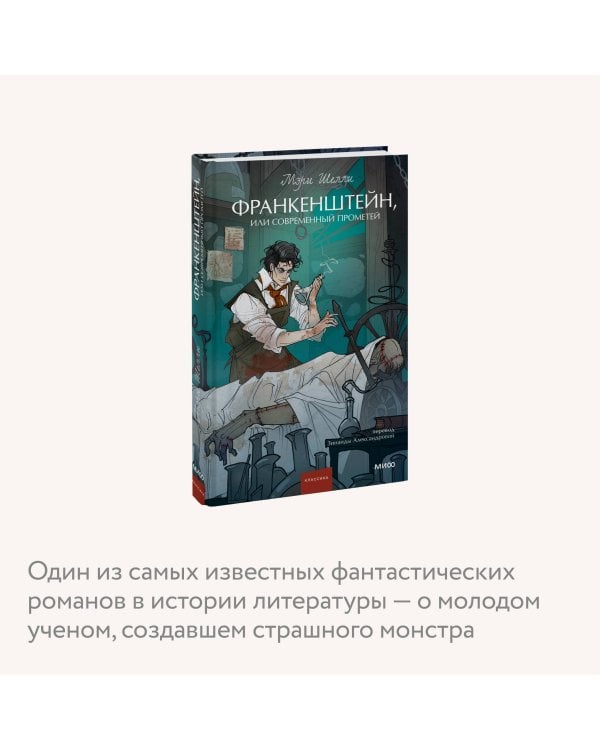 Франкенштейн, или Современный Прометей. Вечные истории. Young Adult