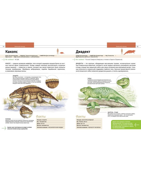 Динозавры и другие древние животные Земли