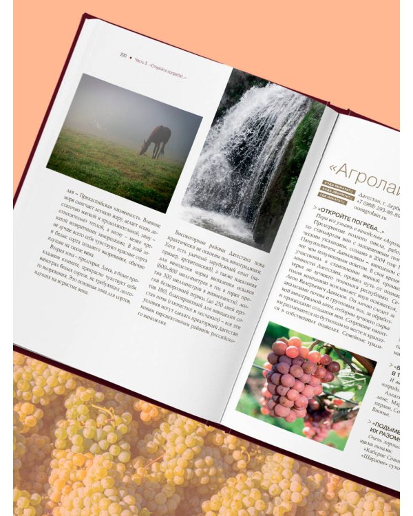 Атлас русского вина. От Крыма до Волги: путеводитель по российским винам