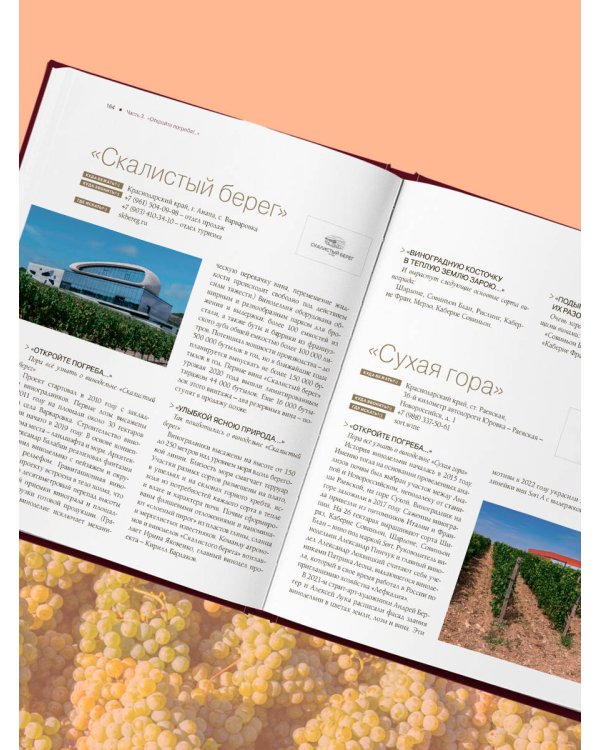 Атлас русского вина. От Крыма до Волги: путеводитель по российским винам