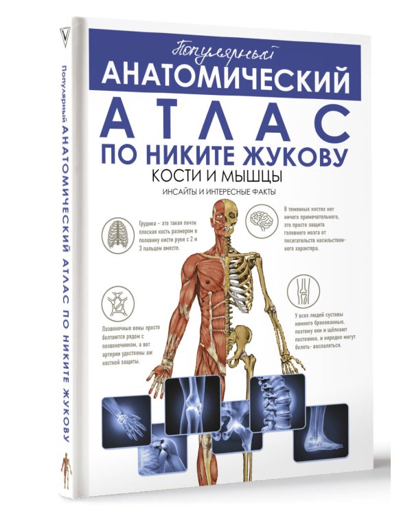 Популярный анатомический атлас по Никите Жукову: кости и мышцы. Инсайты и интересные факты