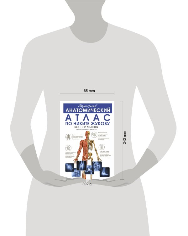 Популярный анатомический атлас по Никите Жукову: кости и мышцы. Инсайты и интересные факты