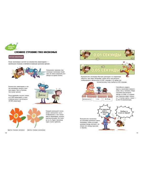 Жук-олень против соперников!