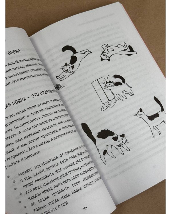 ЗаМУРчательный гид. Как научиться читать мысли кошки