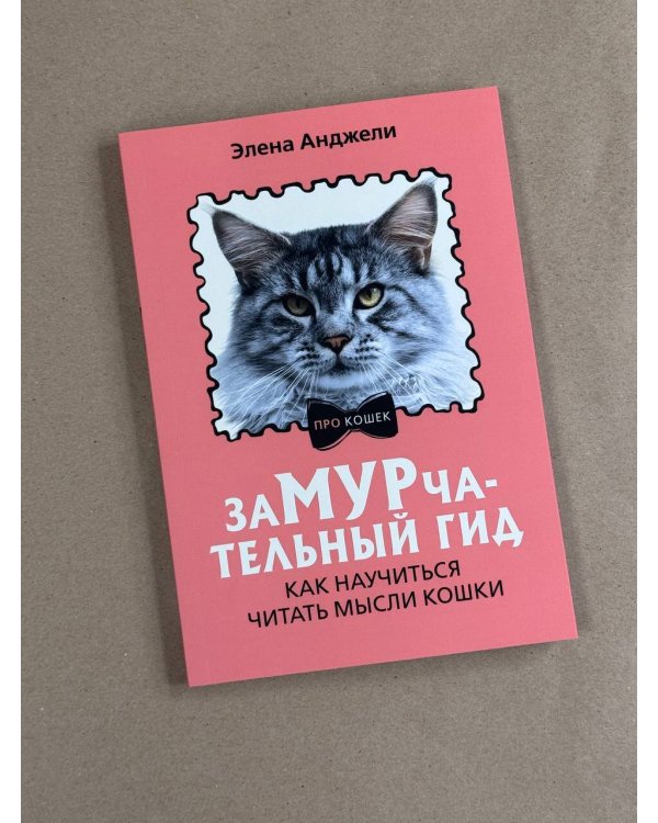 ЗаМУРчательный гид. Как научиться читать мысли кошки