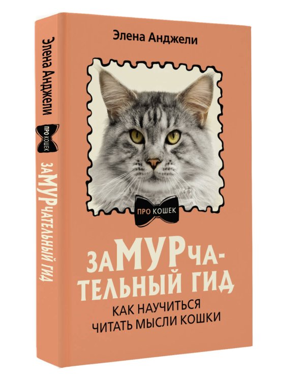 ЗаМУРчательный гид. Как научиться читать мысли кошки