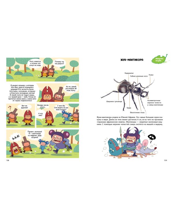 Жук-олень против соперников!