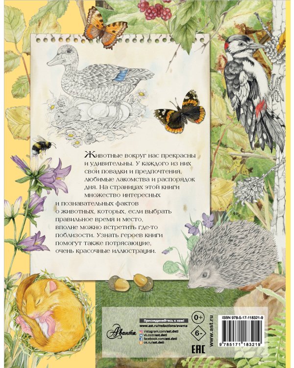 Животные вокруг нас