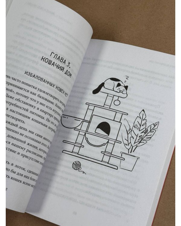 ЗаМУРчательный гид. Как научиться читать мысли кошки