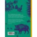 Загадки леса: Удивительная жизнь зеленой экосистемы планеты