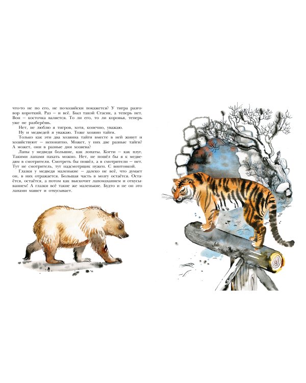 Не кормить и не дразнить! Рисунки В. Цепиловой