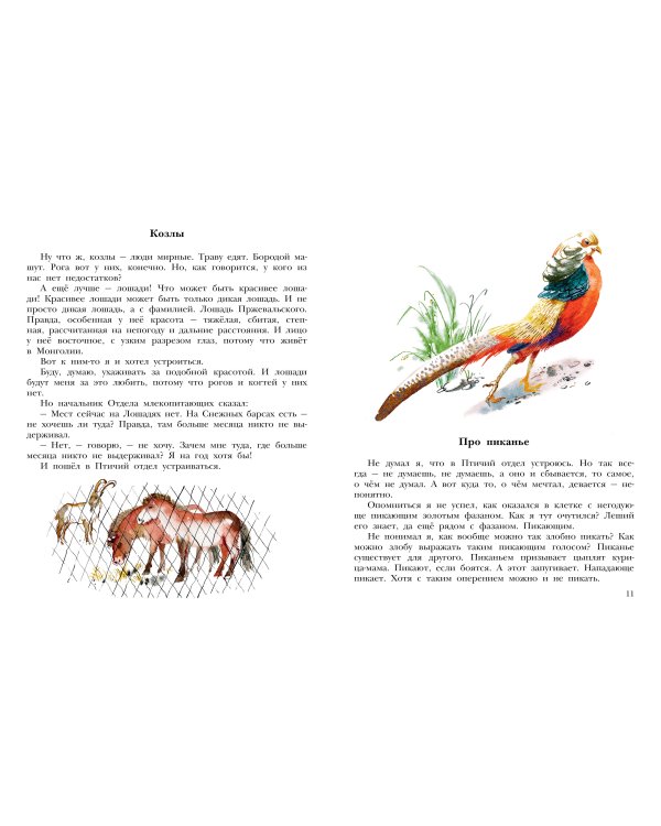 Не кормить и не дразнить! Рисунки В. Цепиловой