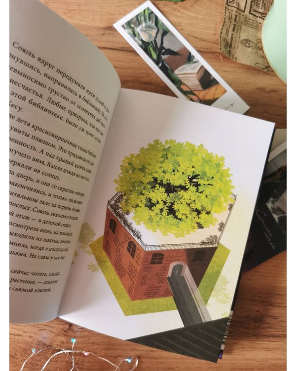 Волшебная библиотека Брокколи