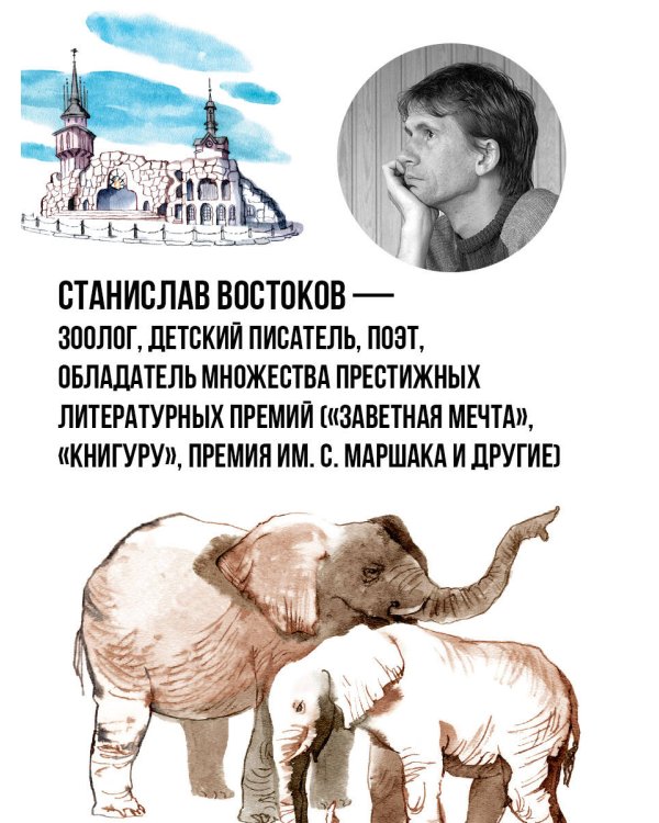 Не кормить и не дразнить! Рисунки В. Цепиловой