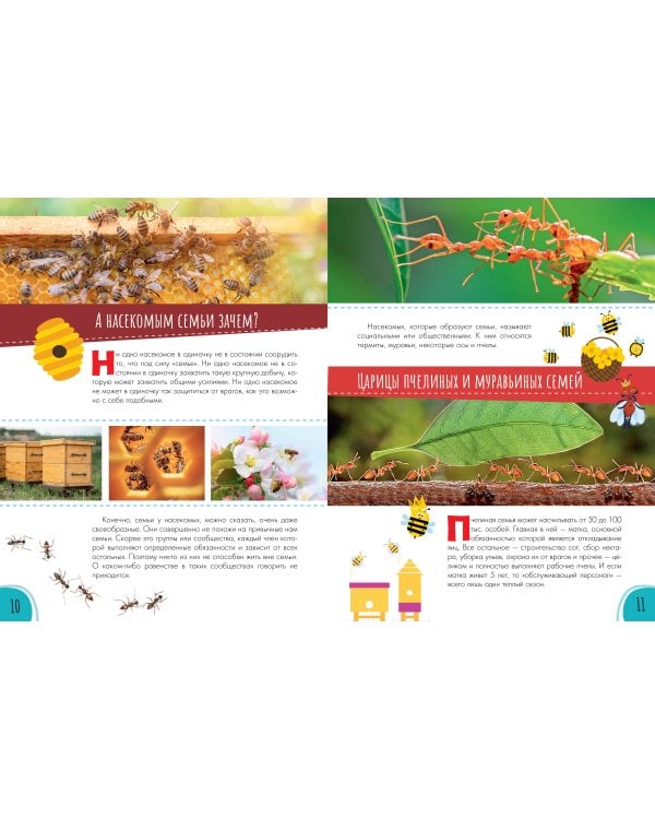 Моя родословная. Пособие по семьеведению