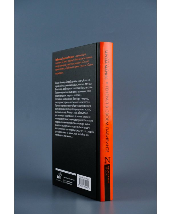 Генерал в своем лабиринте