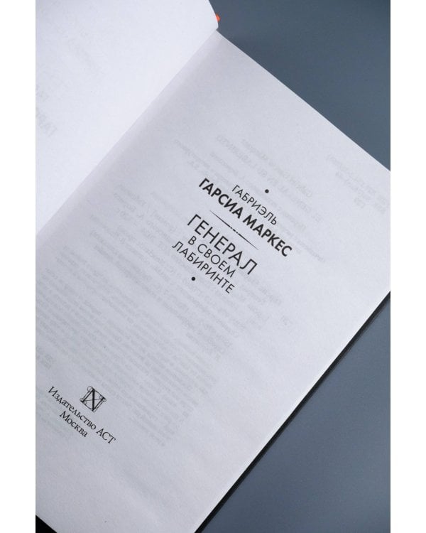 Генерал в своем лабиринте