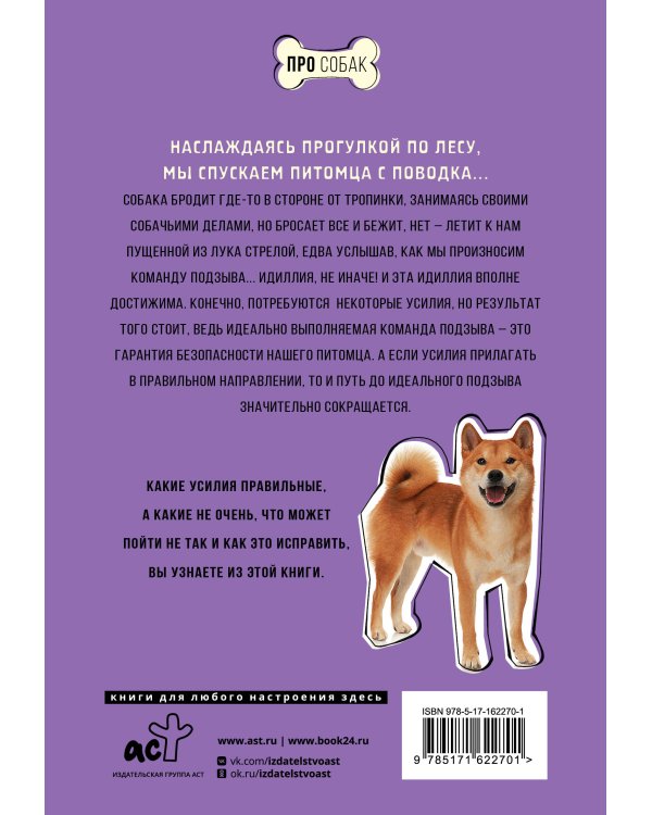 Ко мне! Как научить собаку моментально возвращаться по команде