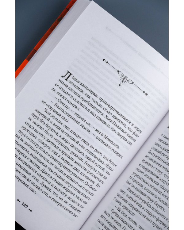 Генерал в своем лабиринте