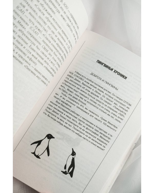 Унесенная пингвинами