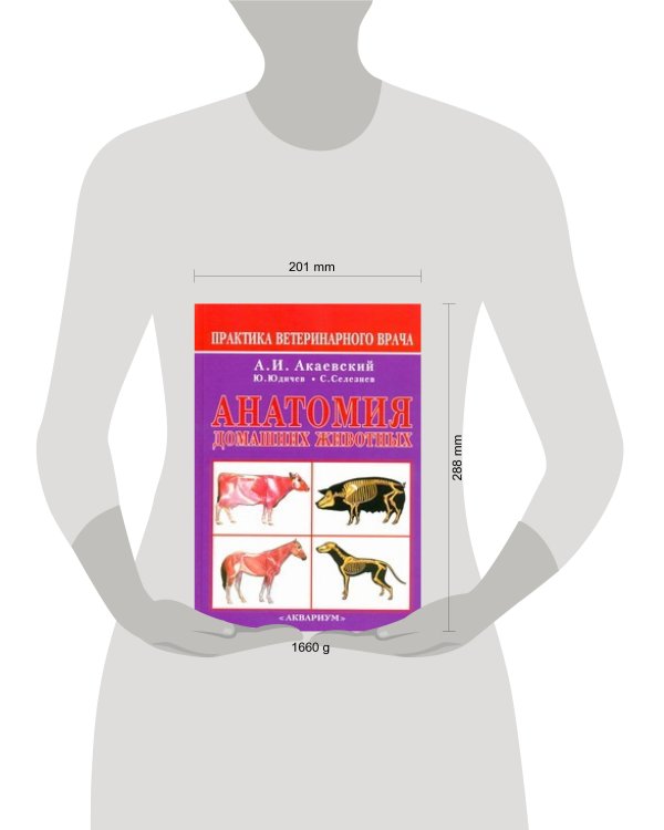 Анатомия домашних животных