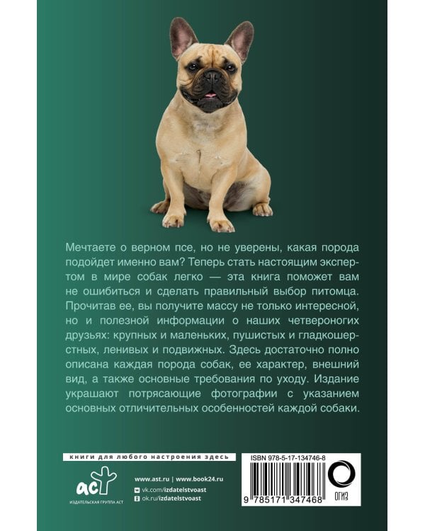 Собаки. Популярный иллюстрированный гид