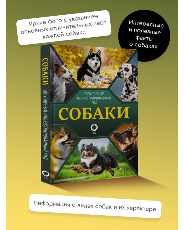 Собаки. Популярный иллюстрированный гид
