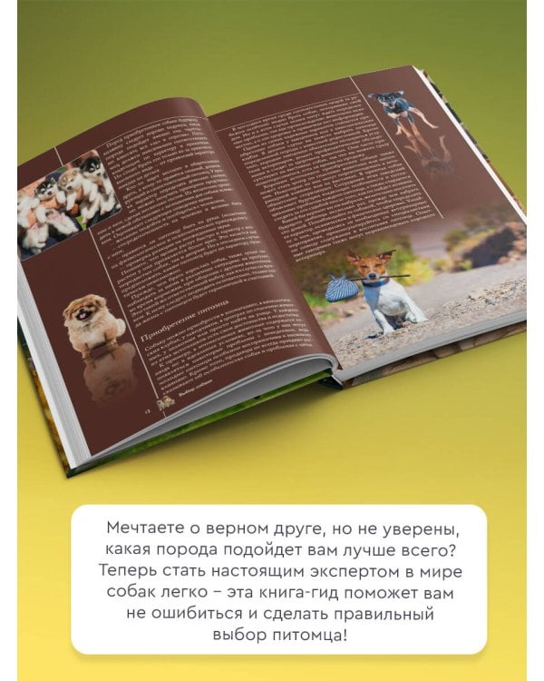 Собаки. Популярный иллюстрированный гид