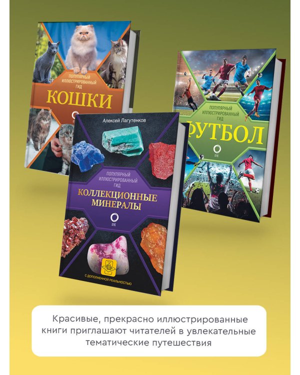 Собаки. Популярный иллюстрированный гид