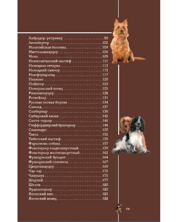 Собаки. Популярный иллюстрированный гид