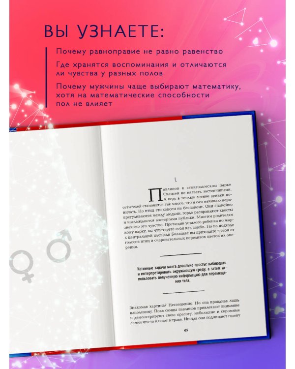 Он, она и мозг. Взгляд нейробиолога на наши сходства и различия