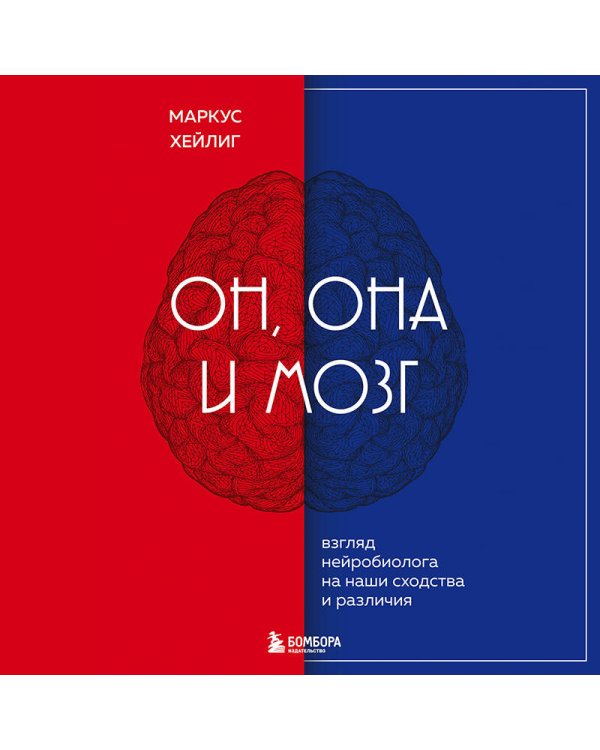 Он, она и мозг. Взгляд нейробиолога на наши сходства и различия