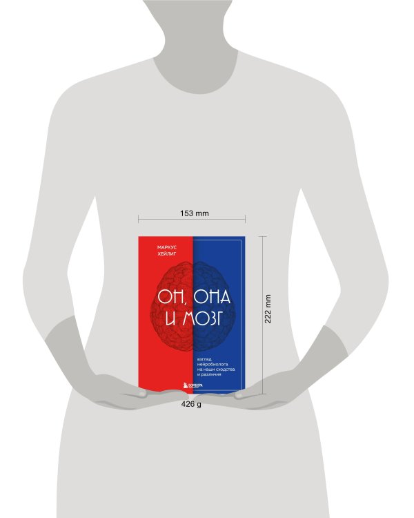 Он, она и мозг. Взгляд нейробиолога на наши сходства и различия